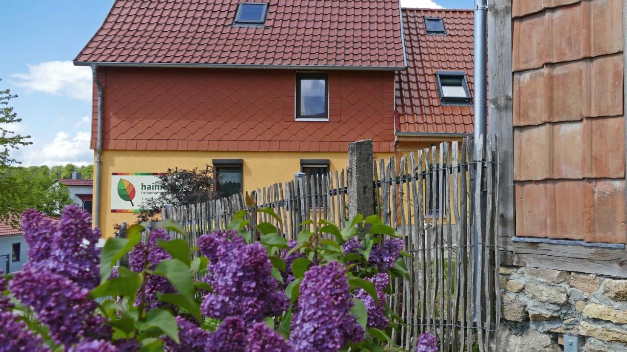 Hainich-Zeit Rodeberg 외부 사진